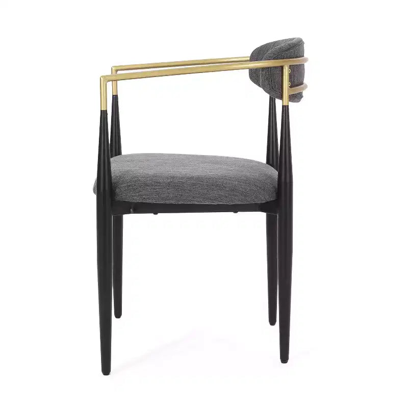 Christopher Knight Home Teuvo - Chaises de salle à manger modernes en tissu et fer (lot de 2)