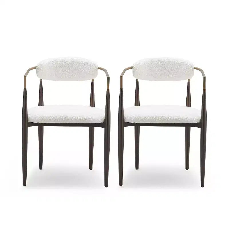 Christopher Knight Home Teuvo - Chaises de salle à manger modernes en tissu et fer (lot de 2)