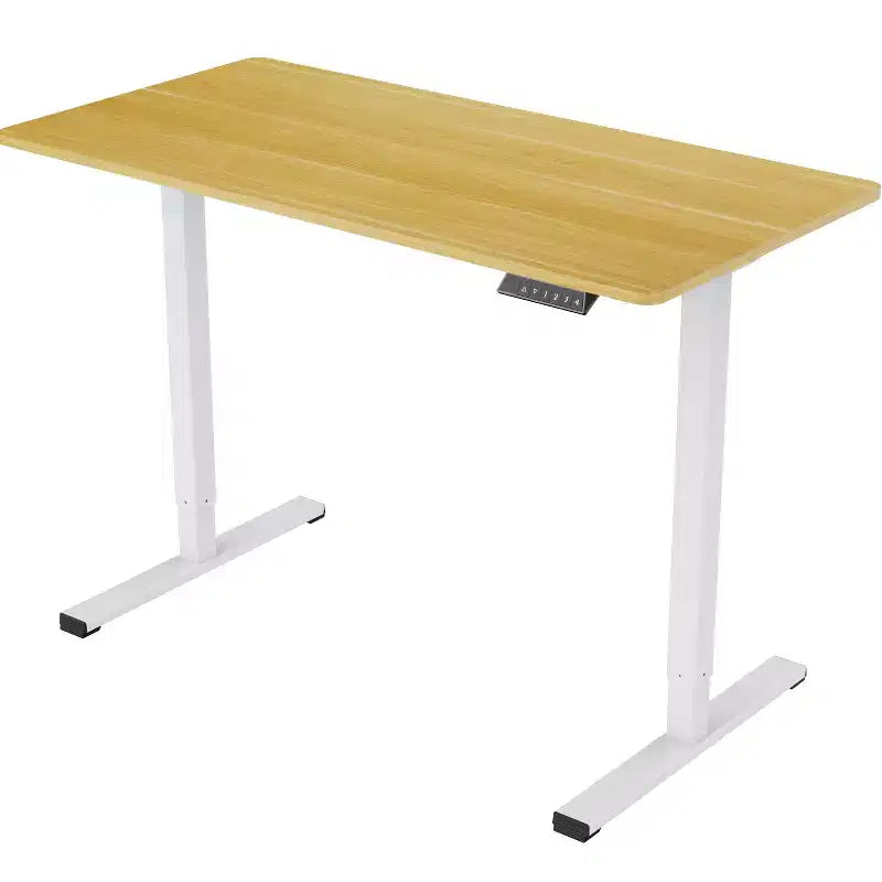 Electric Standing Desk Whole Piece Adjustable Height Desk Home Office Computer Workstation Sit Stand up Desk