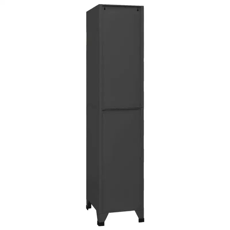 vidaXL Casier de rangement Anthracite Acier Serrures standard Casier de rangement