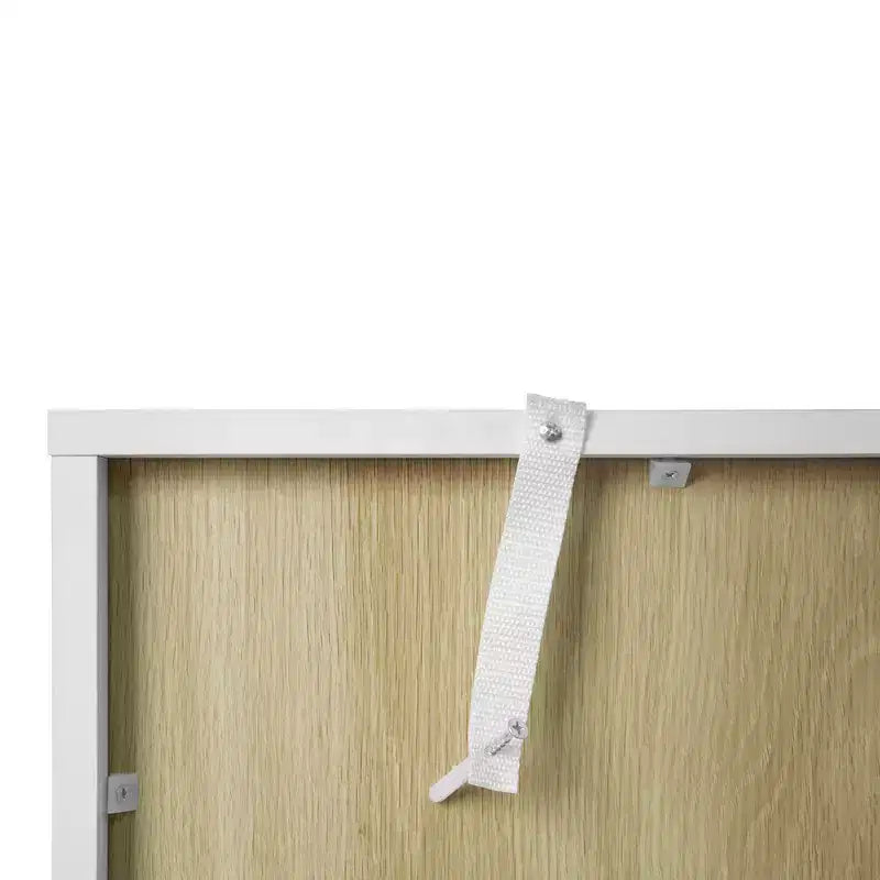 GDFStudio Veatch Modern Storage Cabinet with Acrylic Doors and Adjustable Shelf