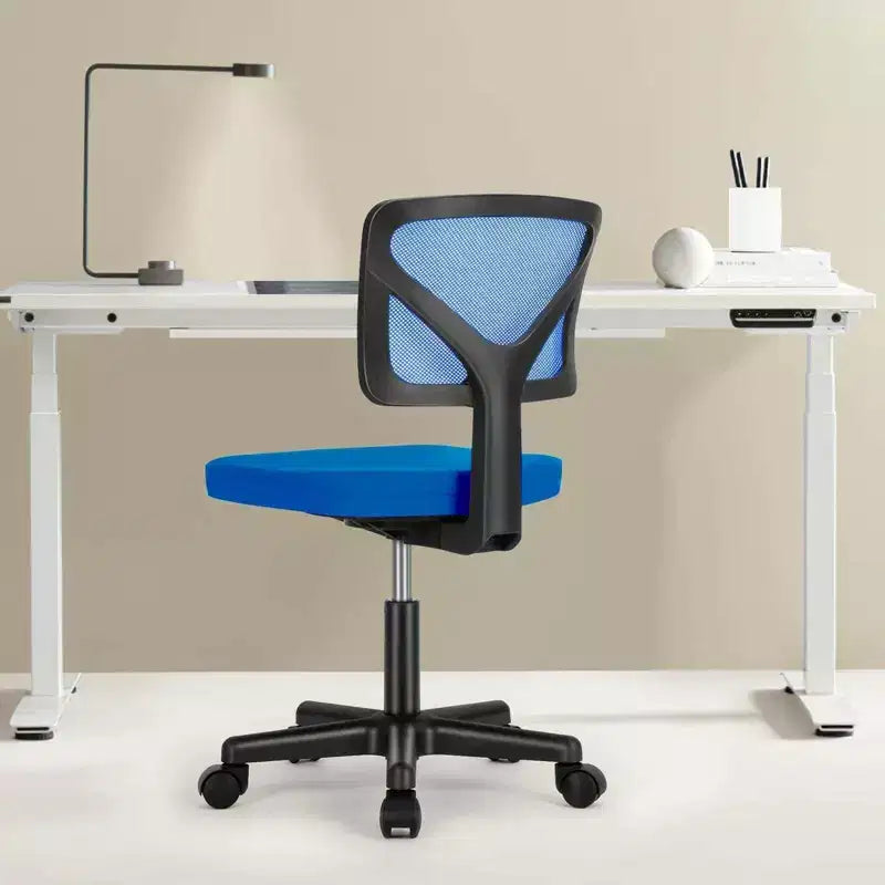 Okak Low-Back Mesh Office Chair with Armless Design, Computer Chair with Lumbar Support, Desk Chair for Study, Reading Room, Office