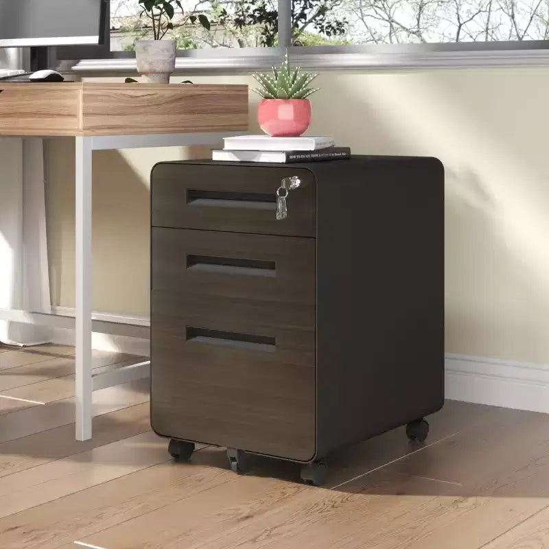 VIYET 23H Mobile File Cabinet with Lock - All-Steel Fully Assembled, Anti-Tip Design & Locking Casters, Fits A4/Letter, for Home/Office (Black)